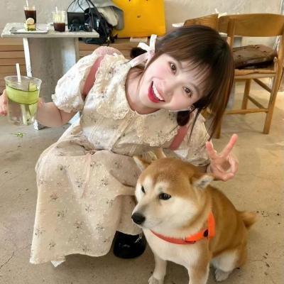 我的空姐女友